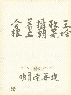 含着摄政王的紫根上朝是啥小说