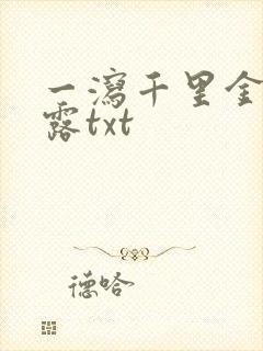 一泻千里金银花露txt封面