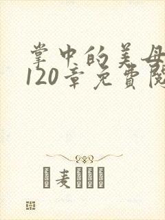 掌中的美母版主120章免费阅读封面