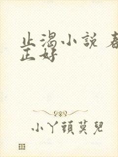 止渴小说 春光正好封面