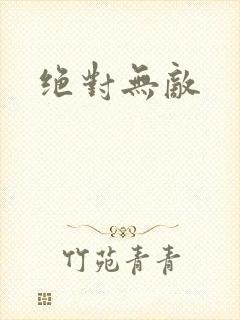 绝对无敌封面