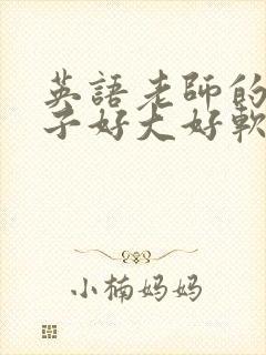 英语老师的小兔子好大好软水封面