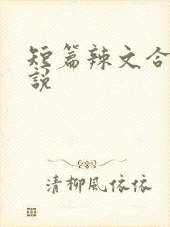 短篇辣文合集小说