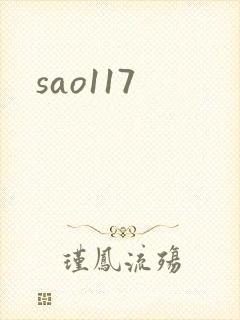 sao117封面