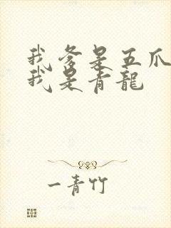 我爹是五爪金龙我是青龙