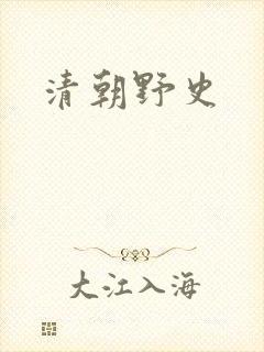 清朝野史