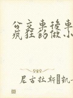 公交车后车座的疯狂的做小