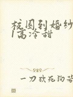 校园到婚纱1V1高冷甜