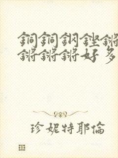 铜铜钢铿锵锵锵锵锵锵好多少阅读封面