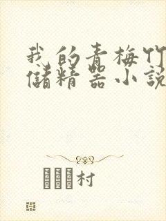 我的青梅竹马是储精器小说封面