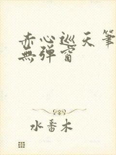 赤心巡天笔趣阁无弹窗