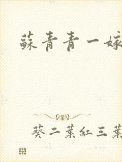 苏青青一嫁三夫