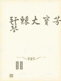 轩辕大宝芳菲雅琴