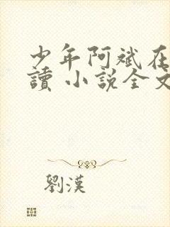 少年阿斌在线阅读 小说全文免费