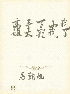 高手下山我家师姐太宠我了全文免费封面