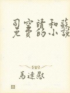 司空靖和苏月汐免费的小说笔趣阁