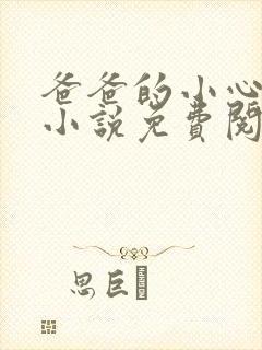 爸爸的小心肝儿小说免费阅读