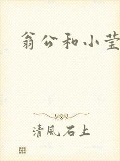 翁公和小莹
