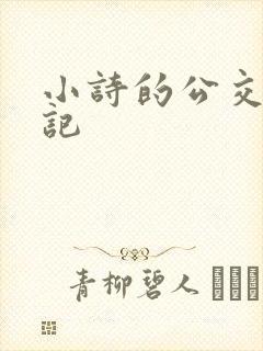 小诗的公交车日记封面