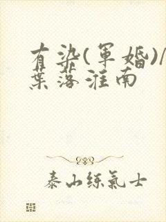 有染(军婚)/叶落淮南