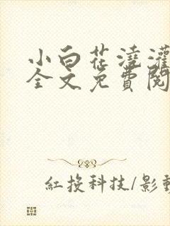 小白花浇灌日常全文免费阅读