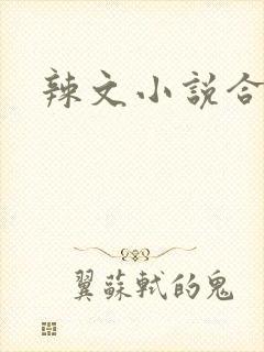 辣文小说合集封面