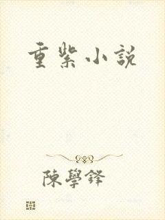重紫小说