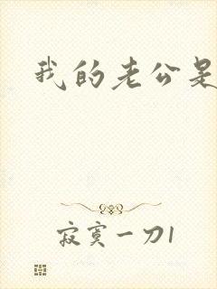 我的老公是冥王