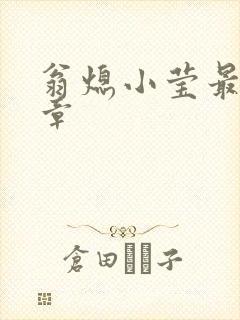 翁熄小莹最新节章