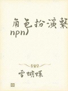 角色扮演系统(npn)
