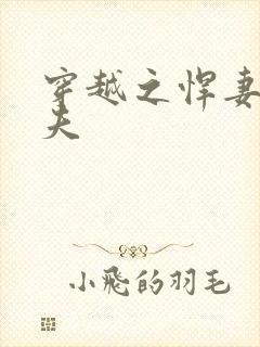 穿越之悍妻共三夫