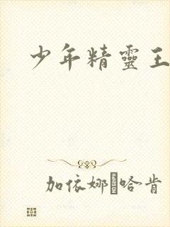 少年精灵王