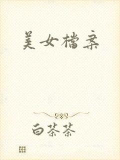 美女档案封面