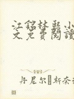 江铭林熙小说全文免费阅读