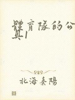 体育队的公用玩具1