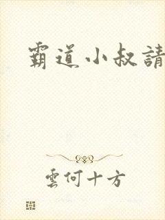 霸道小叔请轻撩封面