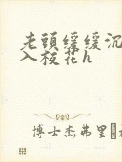 老头缓缓沉腰进入校花h