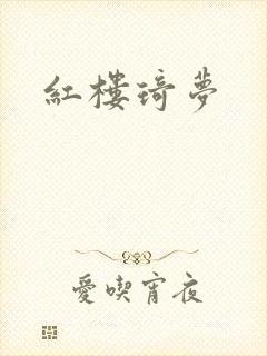 红楼琦梦