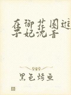 在御花园进入太子妃沈音