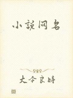 小说网名