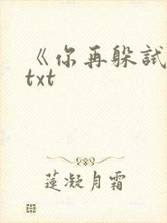 《你再躲试试》txt