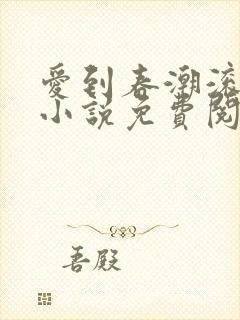 爱到春潮滚滚来小说免费阅读