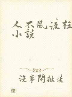 人不风流枉少年小说封面