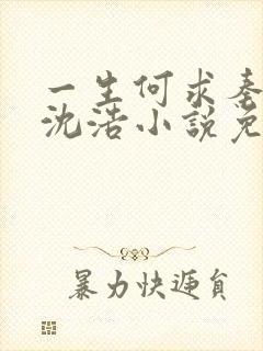 一生何求秦菲雪沈浩小说免费阅读全文