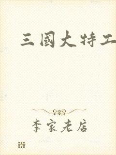 三国大特工
