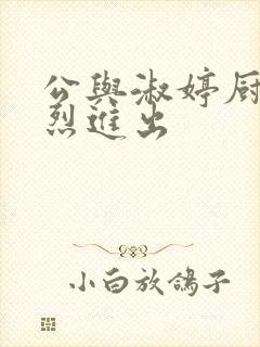 公与淑婷厨房猛烈进出封面