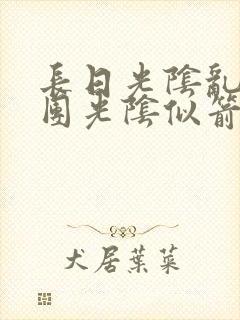 长日光阴乱作一团光阴似箭灵欲教封面