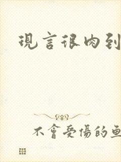 现言很肉到处做