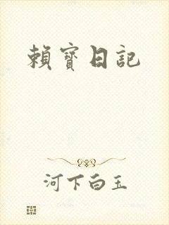 赖宝日记封面