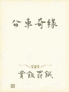 公车奇缘
